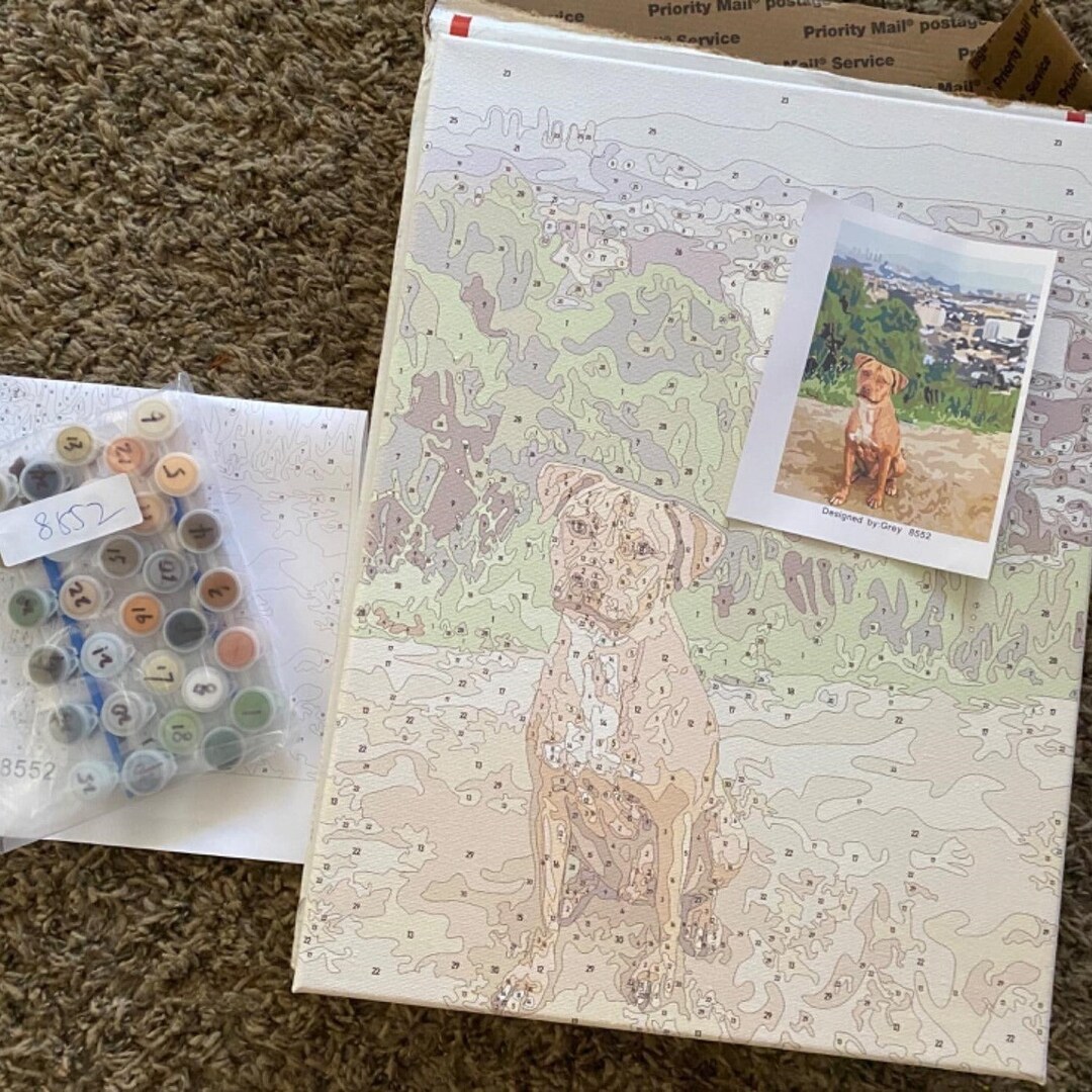 Paintly Custom Paint By Numbers Etsy