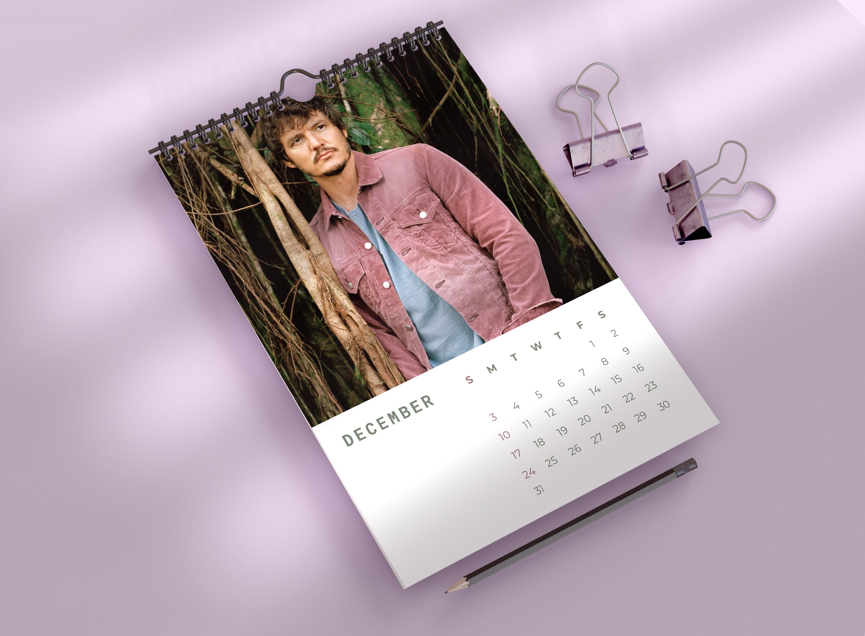 Pedro Pascal Calendar Gifts for Pedro Pascal Fan Pop Culture Etsy