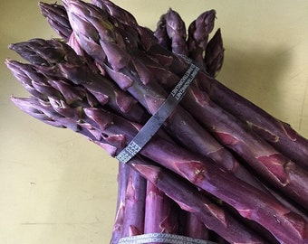 Purple Passion Bare Root 1 Year Purple Asparagus Crowns from Strawbaby Farms