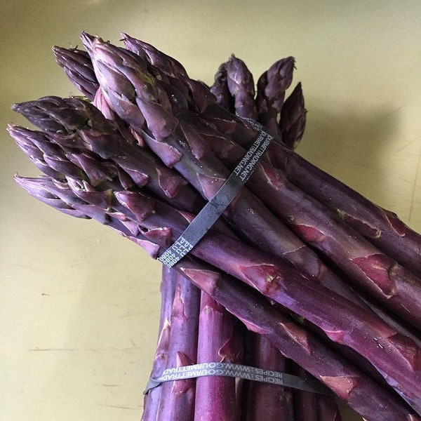 Purple Passion Bare Root 1 Year Purple Asparagus Crowns from Strawbaby Farms