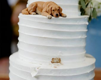 Custom Polymer Clay Pet Cake Topper, Dog Cat Wedding Decor, Anniversary Gift
