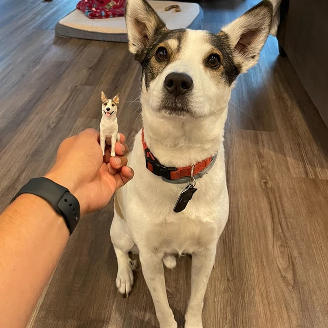 Custom Pet Figurine: Polymer Clay Dog Cake Topper - Etsy