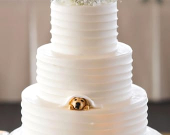 Personalized Custom Dog Wedding Cake Topper, Pet Memorial Gift, Cake Topper, Dog Birthday Gift,Pet Birthday Cake Topper,Gifts for Dog Lovers