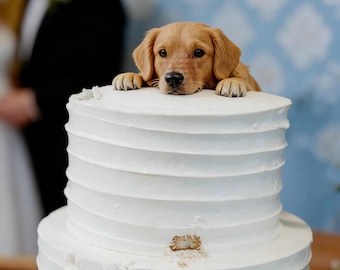 Custom Polymer Clay Pet Cake Topper, Dog Wedding Ornament, Personalized Cat Figure