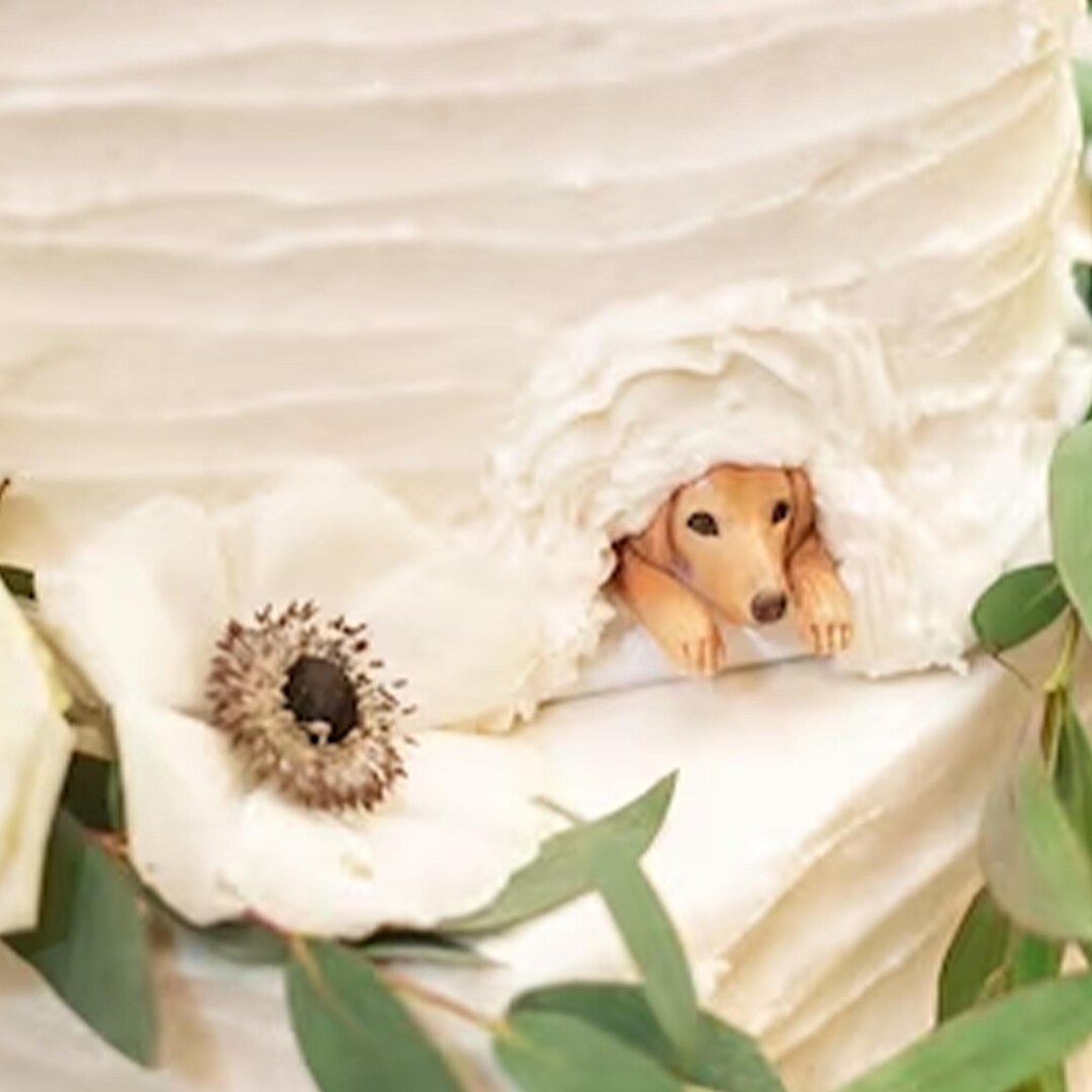 Custom Pet Cake Topper: Polymer Clay Dog Sculpture - Etsy