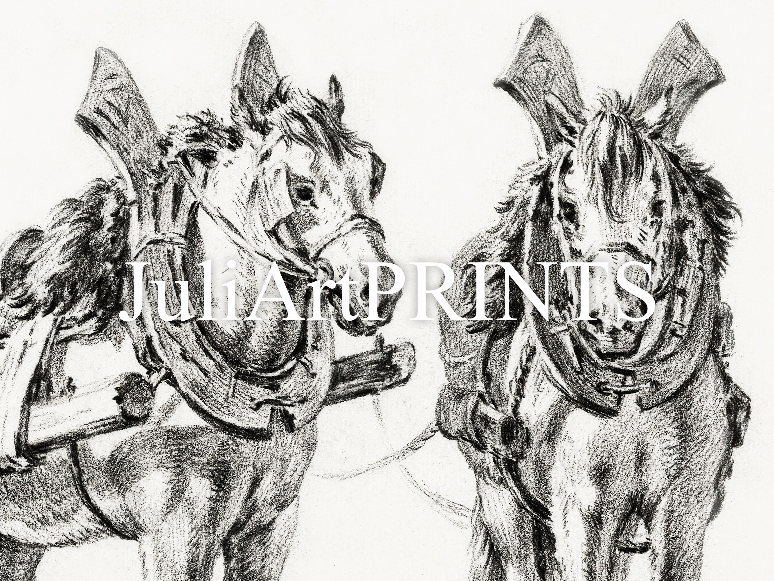 A Sketch of Horses Pulling a Wagon Printable Digital Art for - Etsy