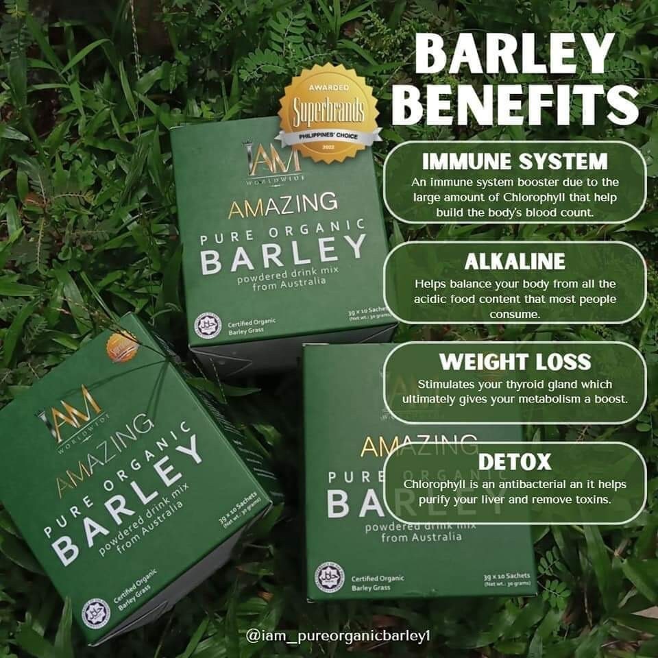 Barley Tea 3 Boxes IAM Amazing Pure Organic ed Drink Mix | Shopee