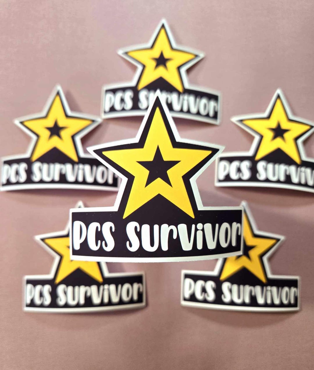 PCS Survivor Sticker | PCS Sticker | Military Humor Sticker | Funny ...