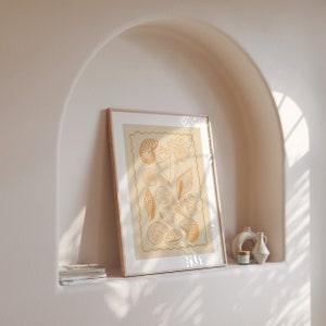 Seashells Art Print Summer Shells Print Seashell Ink Drawing Coastal ...