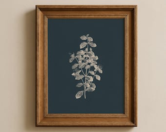 Puede incluir: Una impresión botánica enmarcada con una ilustración detallada de una planta con flores. La obra de arte está en blanco y gris sobre un fondo azul oscuro. El marco de madera tiene un acabado marrón cálido. Una pieza de arte mural decorativa.
