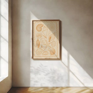 Seashells Art Print Summer Shells Print Seashell Ink Drawing Coastal ...