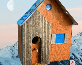 DIY Bird house Chalet Plans Woodworking Bluebird Cedar Chalet Feeder Build Plan English Pattern PDF Download and Woodworking Birdhouse Plan