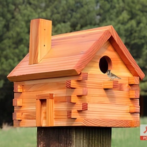 DIY vogelhuisplannen, Vogelhuisplannen, Vogelhuis handgemaakt, Groot vogelhuis, Modern vogelhuisje, Houten Vogelhuisje, Vogelhuisje buiten, Houten vogelhuisje