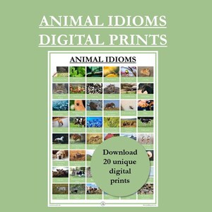 British English Animal Idioms Revision Study Poster Print | Digital Download | Printable | Portrait | Vertical | Common Sayings | Phrases