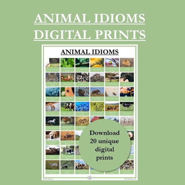 British English Animal Idioms Revision Study Poster Print | Digital Download | Printable | Portrait | Vertical | Common Sayings | Phrases