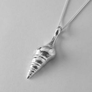 Unicorn Horn Shell Pendant | Sterling Silver Necklace | Handmade Ocean Jewelry