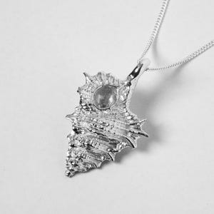 Kookaburra Shell Pendant Small Size | Sterling Silver Jewelry | Handmade Ocean Jewelry