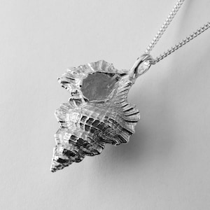Könnte beinhalten: Eine silberne Muschel-Anhänger-Kette. Die Muschel ist detailliert und strukturiert, mit einer hohlen Mitte. Die Kette ist aus Silber.