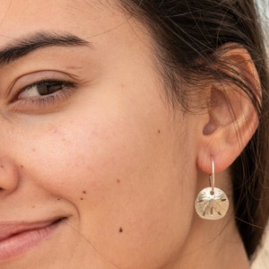 Silver Sand Dollar Earrings Sterling Silver Hoop Earrings Shell Jewelry image 5