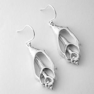Seashell Earrings | Handmade Ocean Jewellery | 925 Sterling Silver