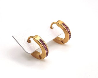 Titanium Hoops Gold Pink Crystal Hypoallergenic Women Men Hoops