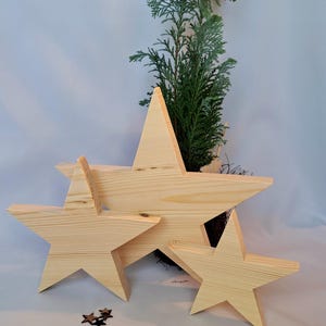 Könnte beinhalten: Drei Holzstern-Dekorationen in verschiedenen Größen mit natürlicher Holzmaserung. Eine kleine immergrüne Pflanze ist hinter den Sternen platziert. Am Boden sind mehrere kleine, dunkelbraune sternförmige Verzierungen verstreut.