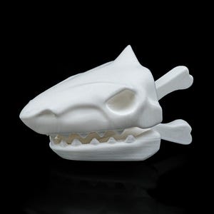 May include: A white 3D printed shark skull with a detailed jaw and teeth. The skull is missing the top of its head and has a small hole where the eye would be.