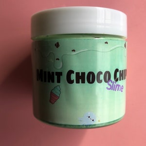 Mint Choco Chip