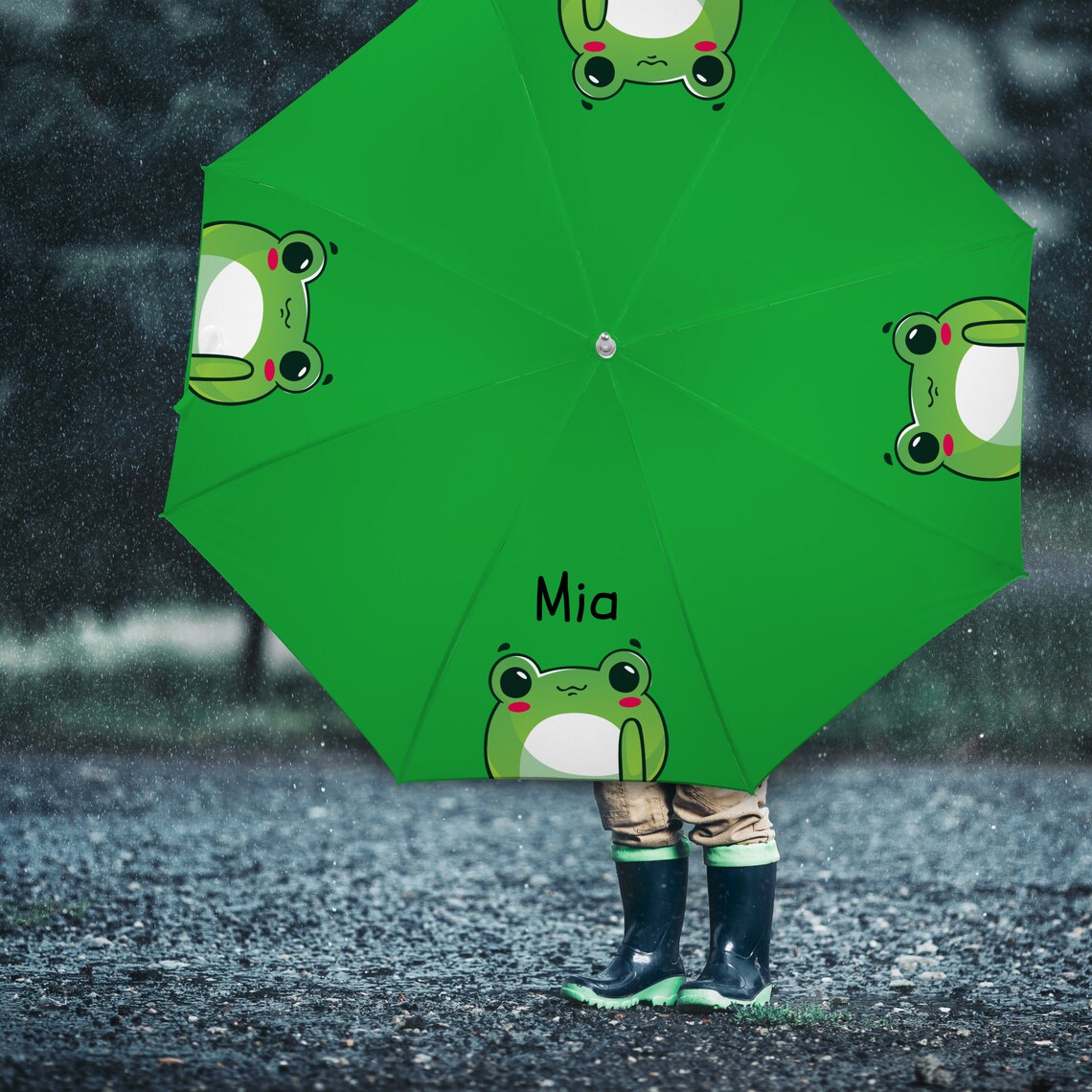 Personalized Child's Umbrella, Frog Umbrella, Custom Name Kids Umbrella ...