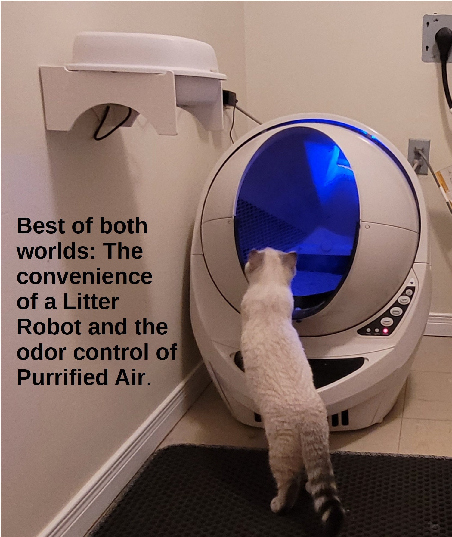 Purified Air Litter Box Air Filter Etsy