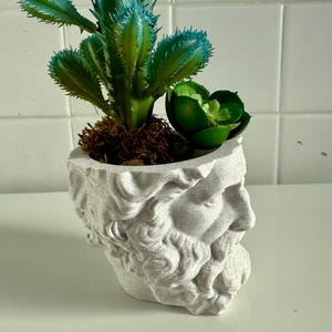 Può includere: Un vaso decorativo a forma di busto classico, contenente un cactus verde brillante e una piccola succulenta. Il vaso è di colore grigio chiaro e il cactus ha punte verde-blu.