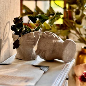 Peut inclure: Deux pots en plâtre blanc en forme de visage humain, l'un avec une plante verte feuillue qui pousse du haut. Les pots sont posés sur une surface en bois blanc.