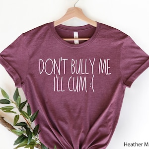 Don’t Bully Me Shirt, Ironic and Sarcastic Gift Shirt, Funny Sarcastic Shirt, Meme Shirt, Funny and Sarcastic Tees, Gothic Shirt, Best Tee