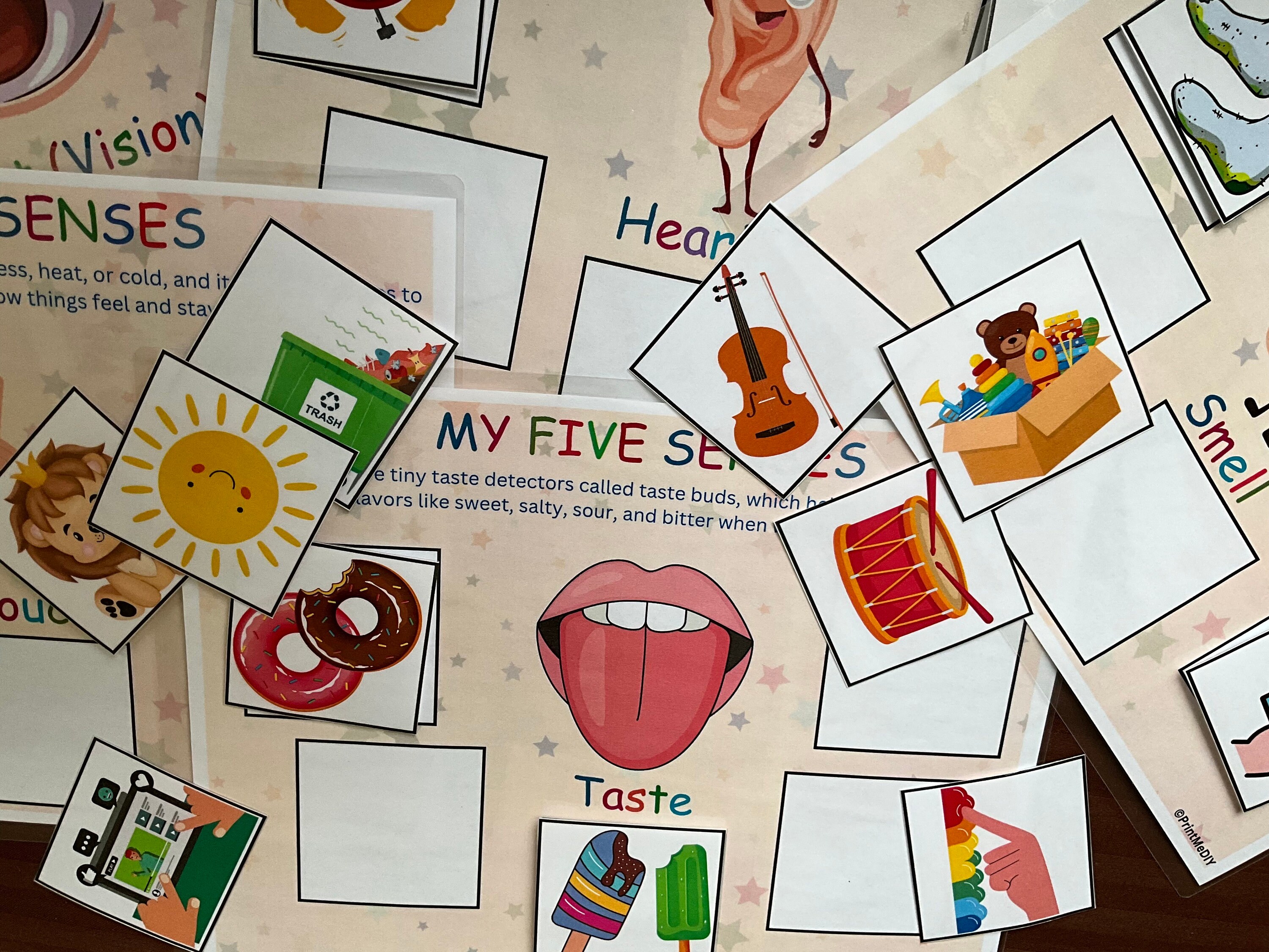 Montessori Five Senses Sorting Activity Printable, 5 Senses Sorting ...