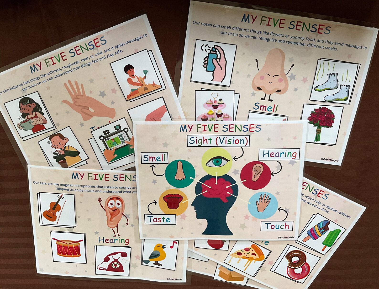 Montessori Five Senses Sorting Activity: Homeschool Printable (PDF) - Etsy