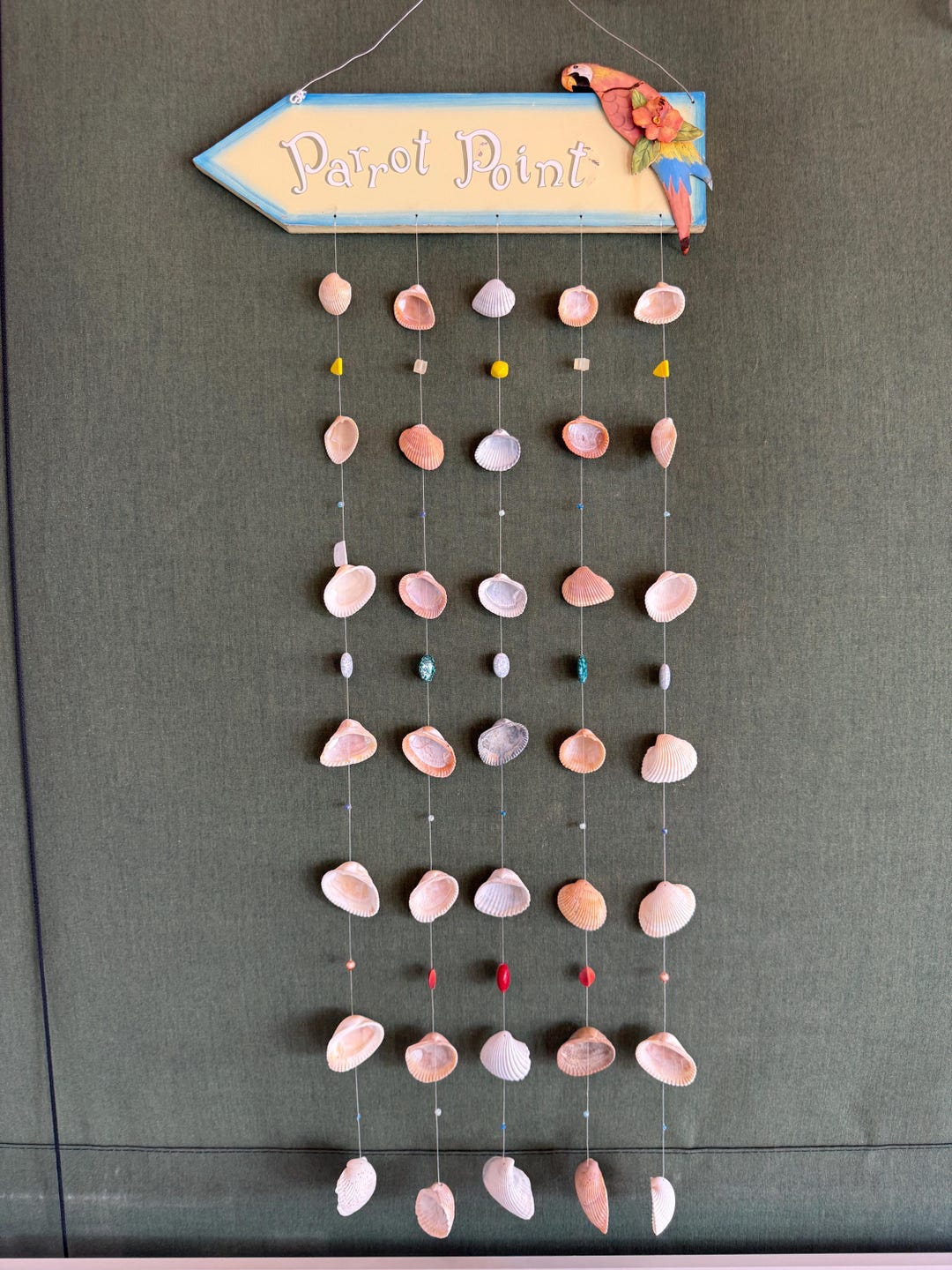 Parrot Point Directional Shell Chime - Etsy