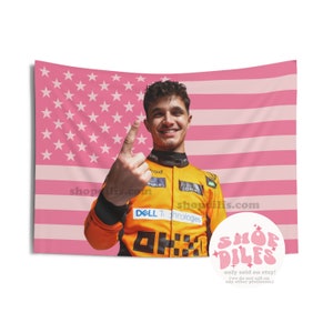 Timothee Chalamet Pink Wall Tapestry American Flag Call Me by Your Name Little Women Lady Bird Elio Perlman Etsy Australia
