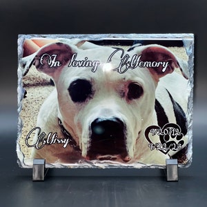 May include: A black slate memorial plaque with a photo of a white dog. The plaque reads "In loving memory of Missy" and has a heart with paw prints and the dates "9/20/12" and "9/22/23".