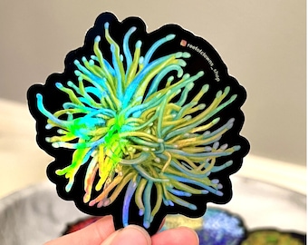 Holy Grail Torch Coral Sticker (Holographic) | Fish Art Sticker | Aquarium Art | Saltwater Fish, Coral Sticker | Reef Tank