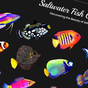 Saltwater Fish Poster (Horizontal) – Vibrant Reef Aquarium Wall Art | Matte Finish Print | Marine Life Decor image 3