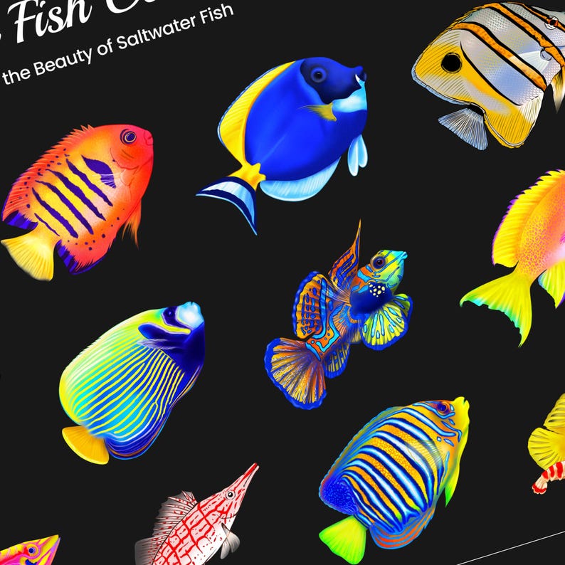 Saltwater Fish Poster (Horizontal) – Vibrant Reef Aquarium Wall Art | Matte Finish Print | Marine Life Decor image 4