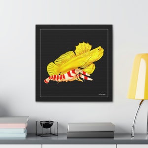 Yellow Watchman Goby and Pistol Shrimp