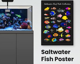 Saltwater Fish Identification Poster – Vibrant Reef Fish Wall Art with Names | Marine Life Decor | Framed or Rolled Print | Poster Gift Idea
