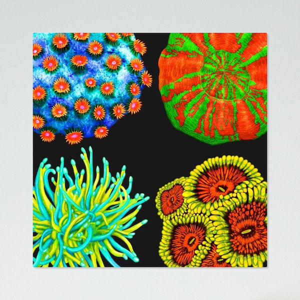 Vibrant Corals (V1) | UV Reactive Blacklight Tapestry |  Reef Aquarium Hobbyists | Saltwater Reef Tank Art | Glow in the Dark