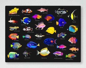 Reef Fish Collection UV Blacklight Tapestry