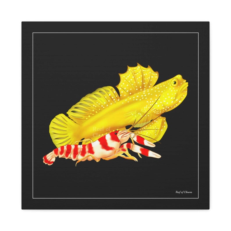 Yellow Watchman Goby and Pistol Shrimp