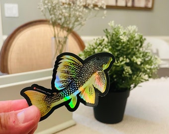 Sunshine Pleco Sticker (Holographic) | Fish Art Sticker | Aquarium Art | Freshwater Fish Sticker | Goldfish