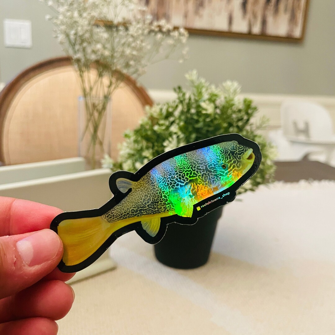 Freshwater Puffer Sticker (holographic) | Fish Art Sticker | Aquarium ...