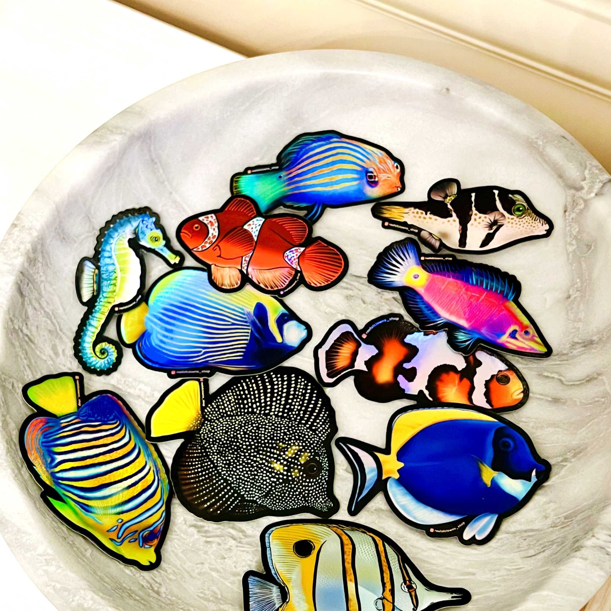 Regal Angelfish (holographic) | Fish Art Sticker | Aquarium Art ...