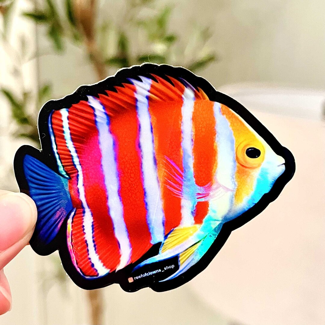 Peppermint Angelfish Sticker (holographic) | Fish Art Sticker ...